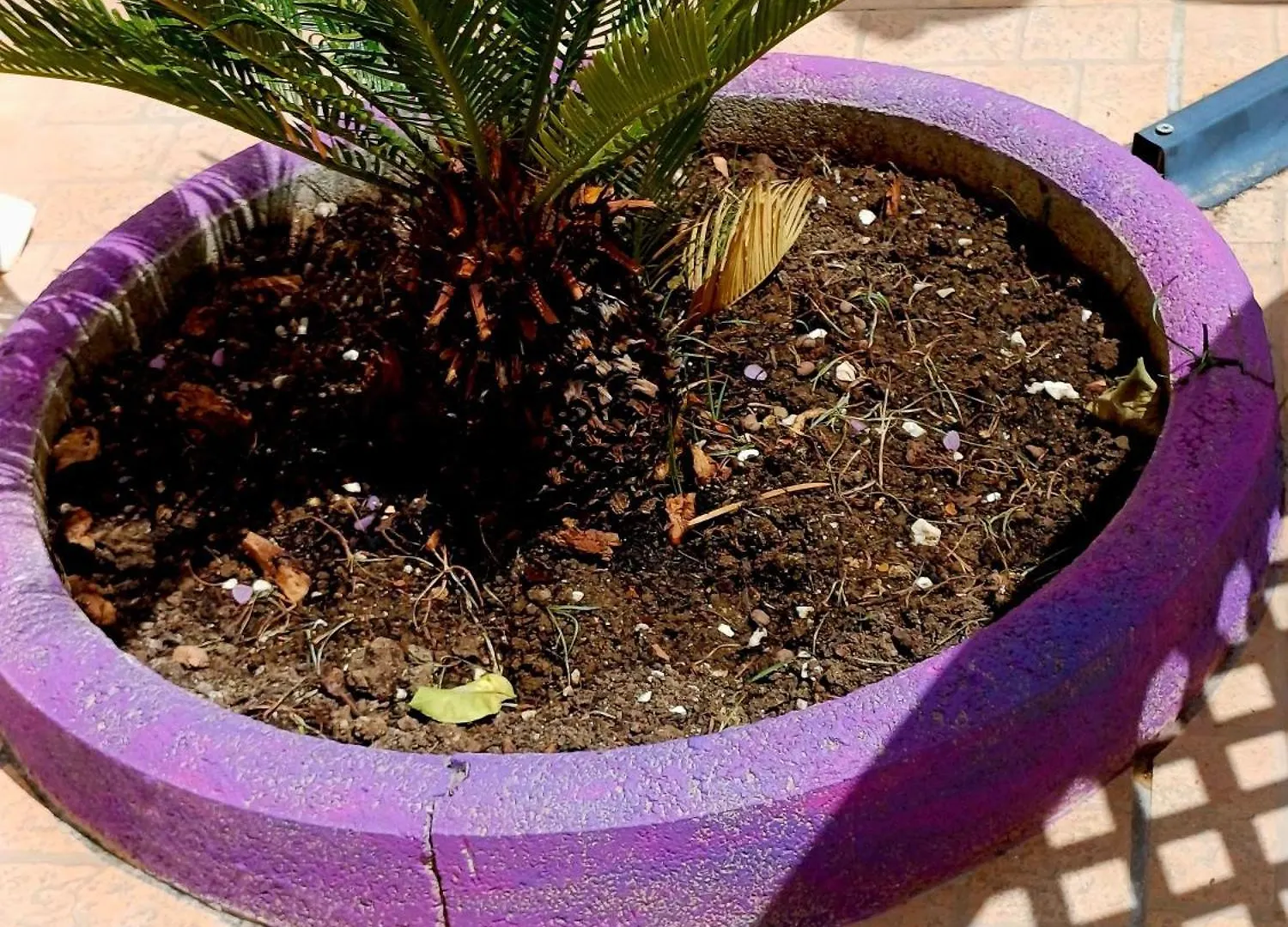 Prázdninový dům Casa Vacanza Viola Trapani